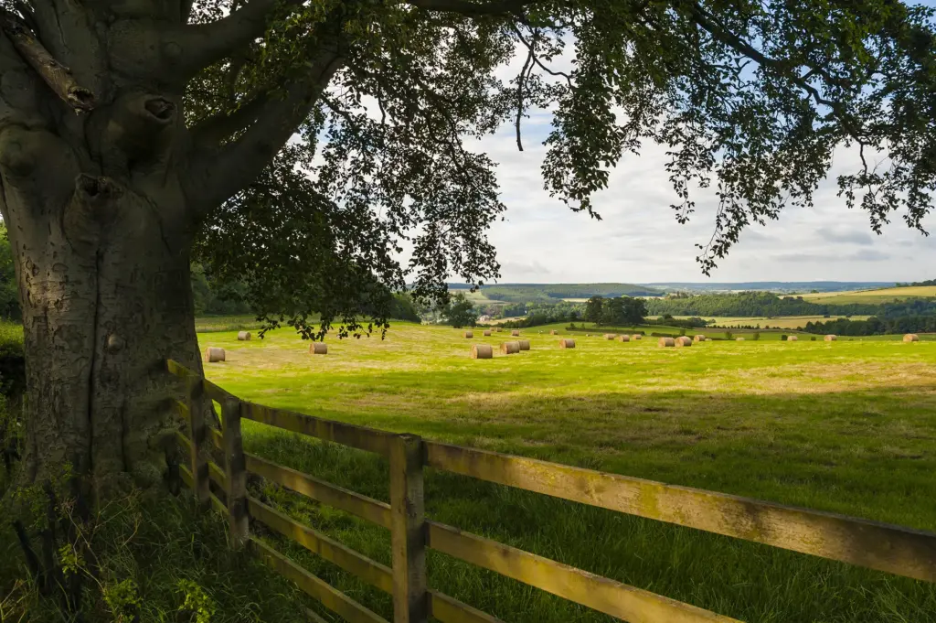 Arable farm
